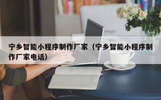 潮州宁乡智能小程序制作厂家（宁乡智能小程序制作厂家电话）